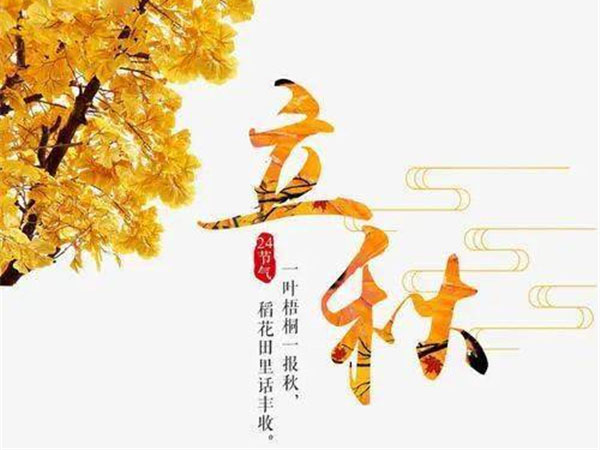 官网模块9156.jpg